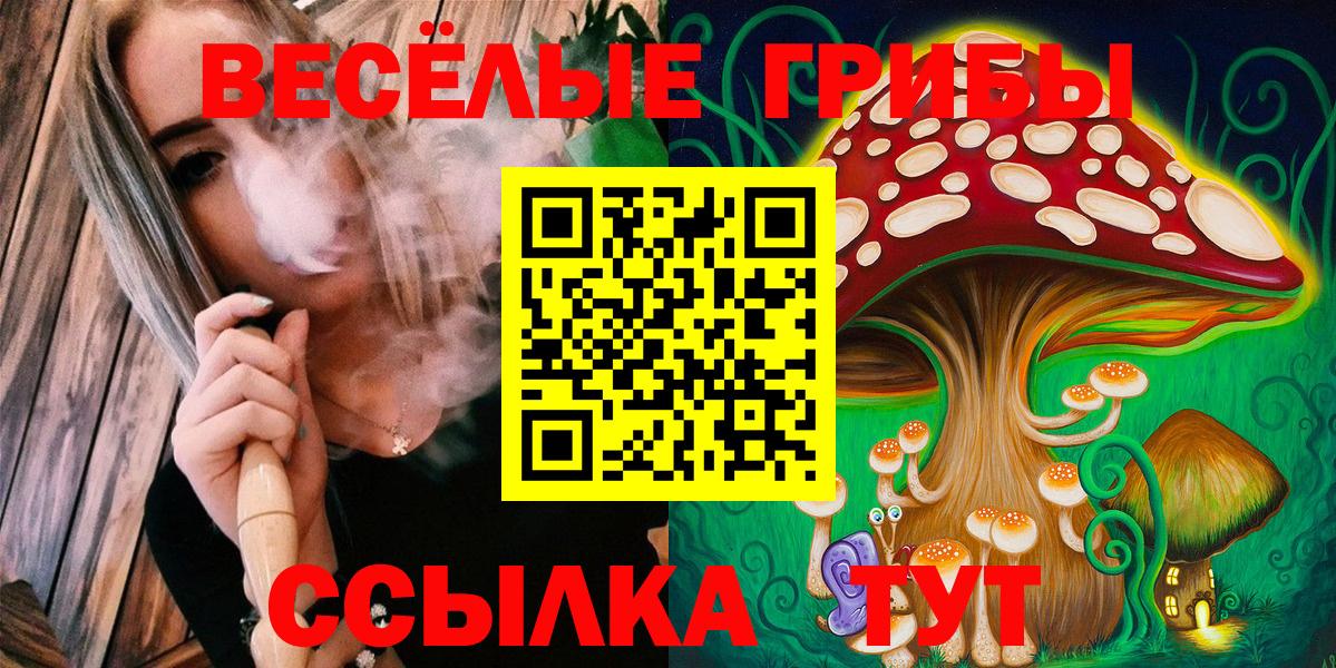 Псилоцибиновые грибы мицелий Дивногорск