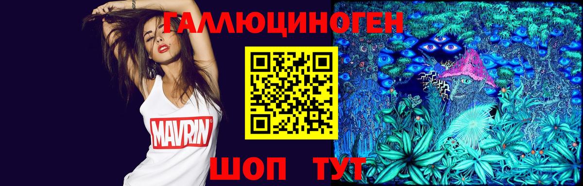 Дивногорск  Псилоцибиновые грибы GOLDEN TEACHER  Вход с VPN 