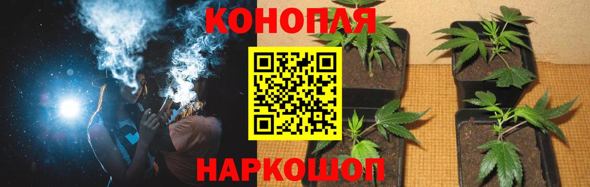 МАРИХУАНА MAZAR  Бошки марихуана семена  Шишки марихуана планчик  Конопля марихуана  Дивногорск  Вход с VPN 